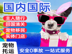 兰旗空运地址国际宠物托运 【国
